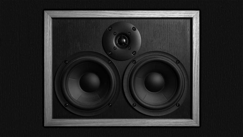 two black speakers in a silver frame