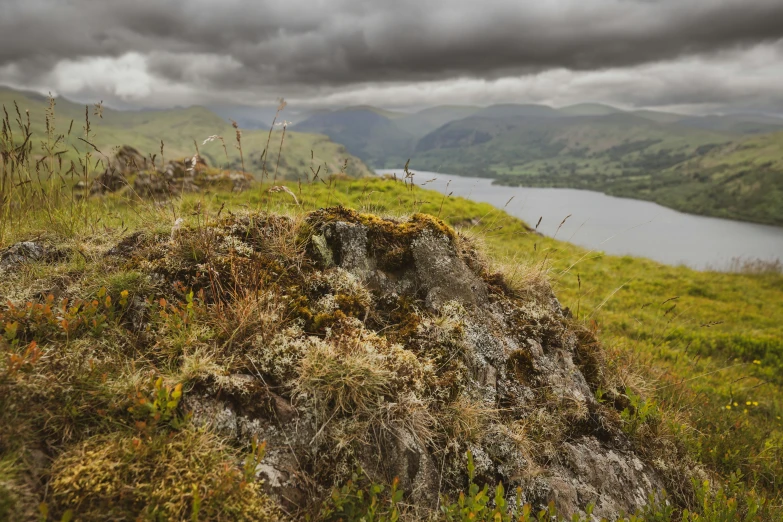 an image of a hill that is very green