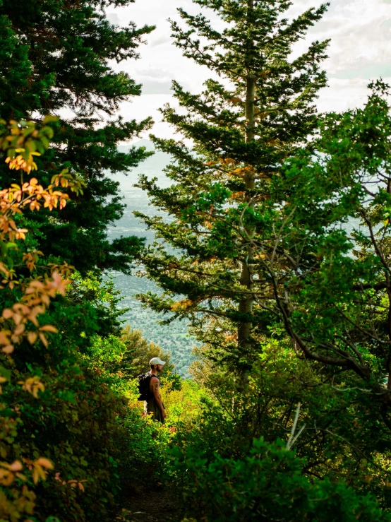 the mountain biker is descending his bike down the narrow path