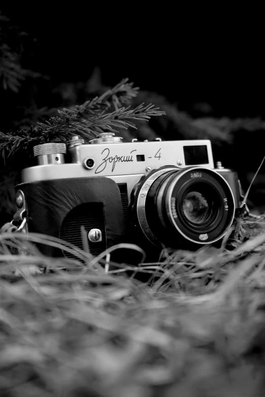 a camera sitting in the grass with a christmas tree behind it