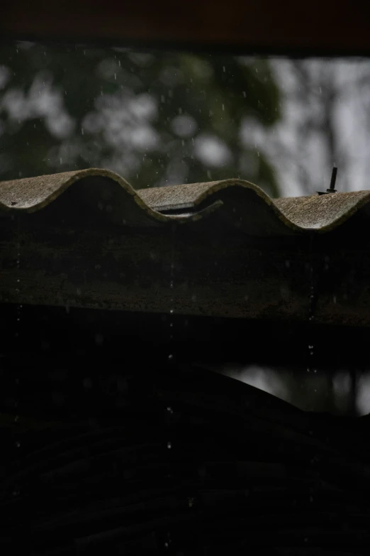 a building roof with a bird standing on it