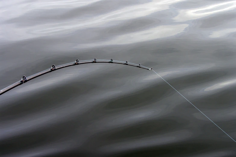 several birds perched on a line over a body of water