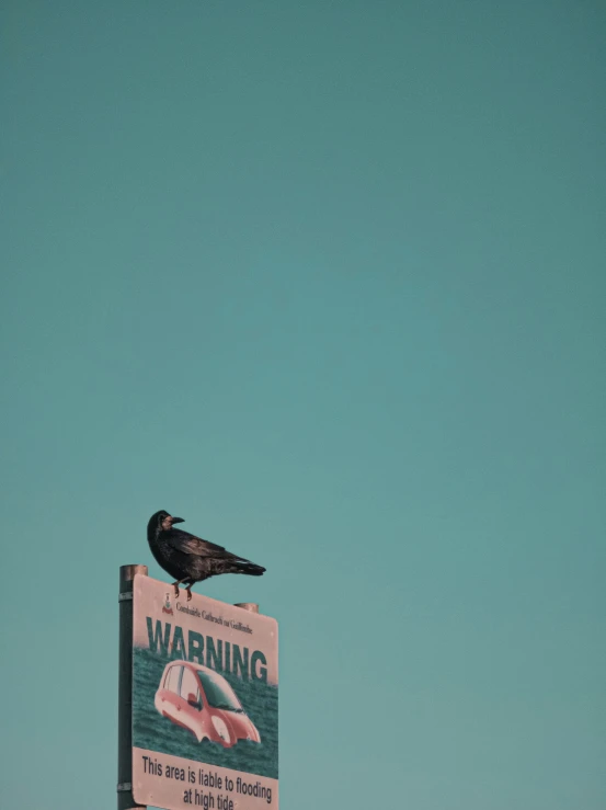 a bird sitting on top of a sign warning of the corona