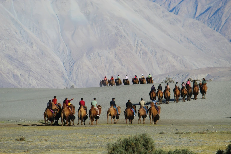 several people riding horses up a hill side