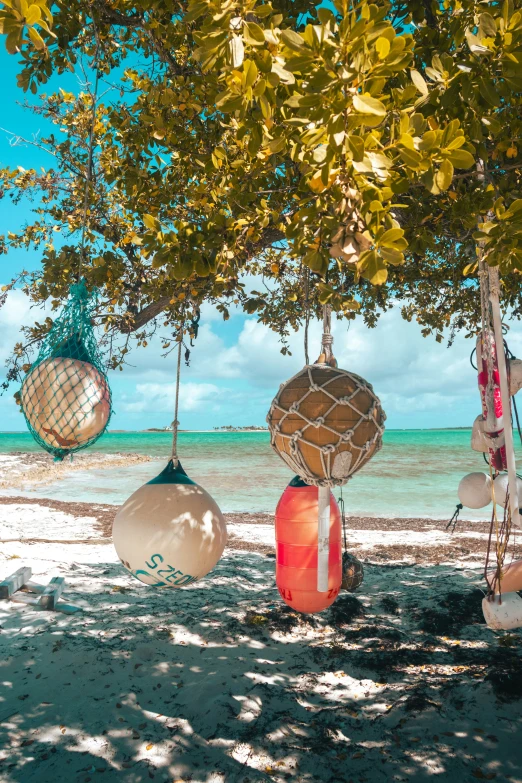 a bunch of balls hanging from a tree