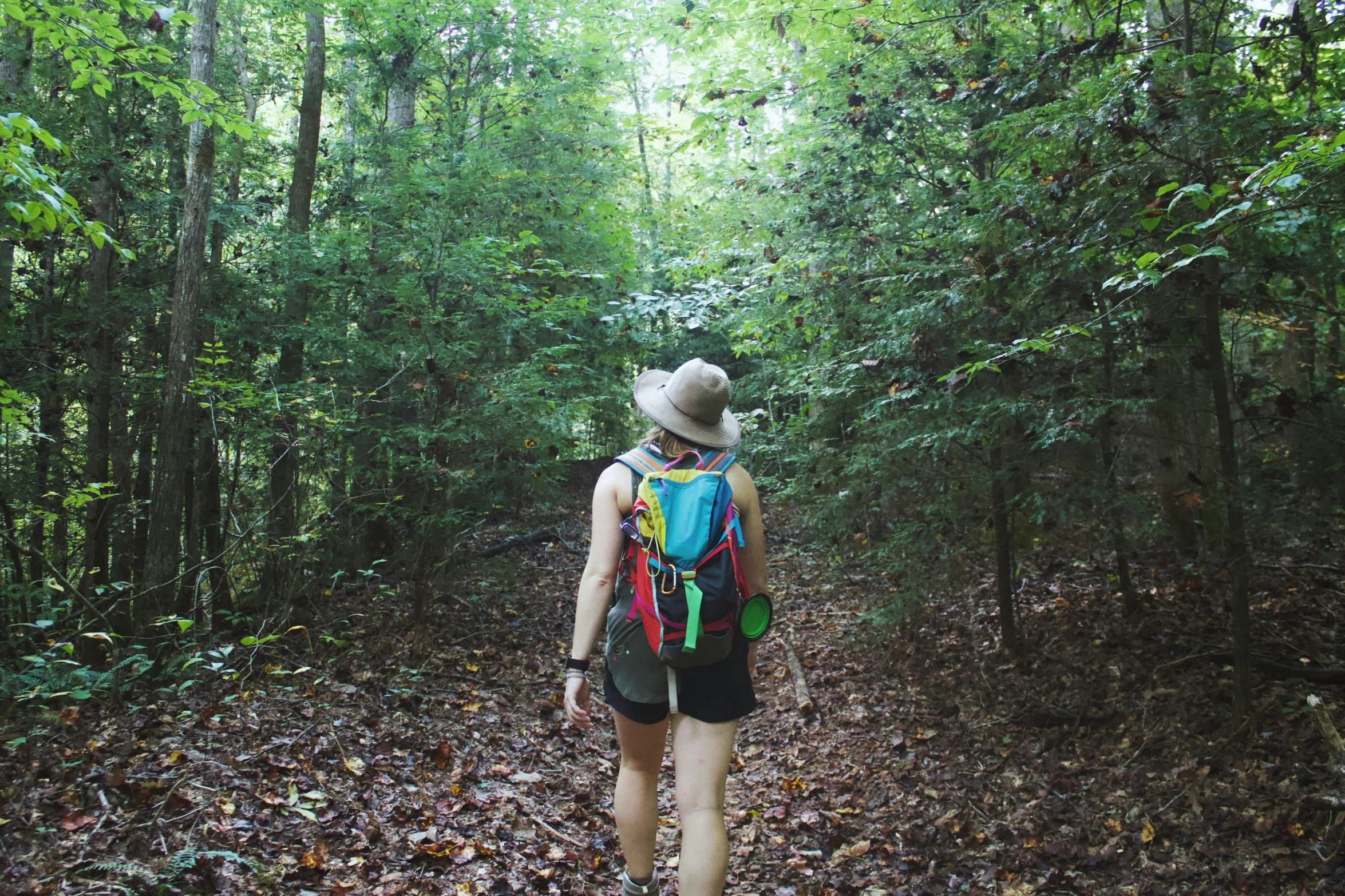 the person with backpack is walking on the trail through the woods