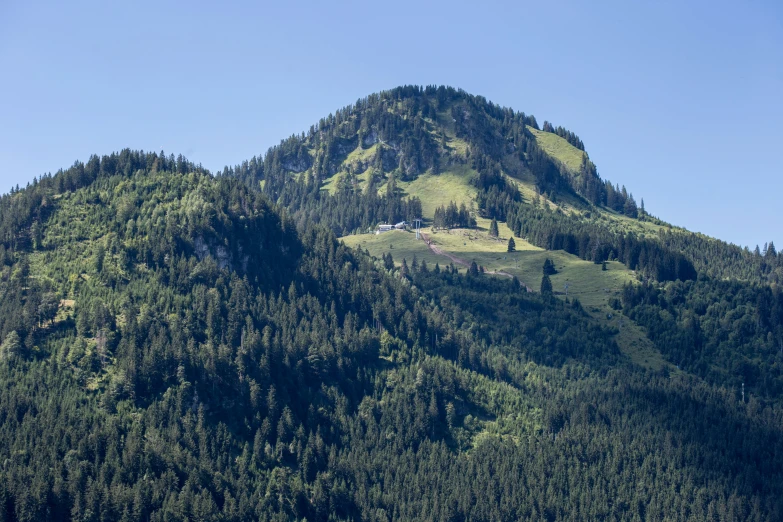 a mountain with trees on top and a house on it