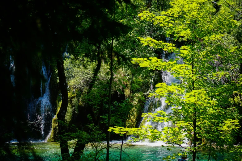a lush green forest is seen next to a waterfall