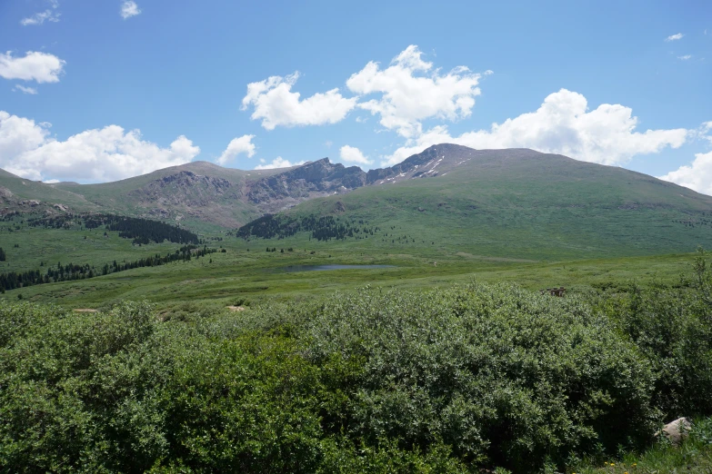 a small group of mountains with green shrubs and brush