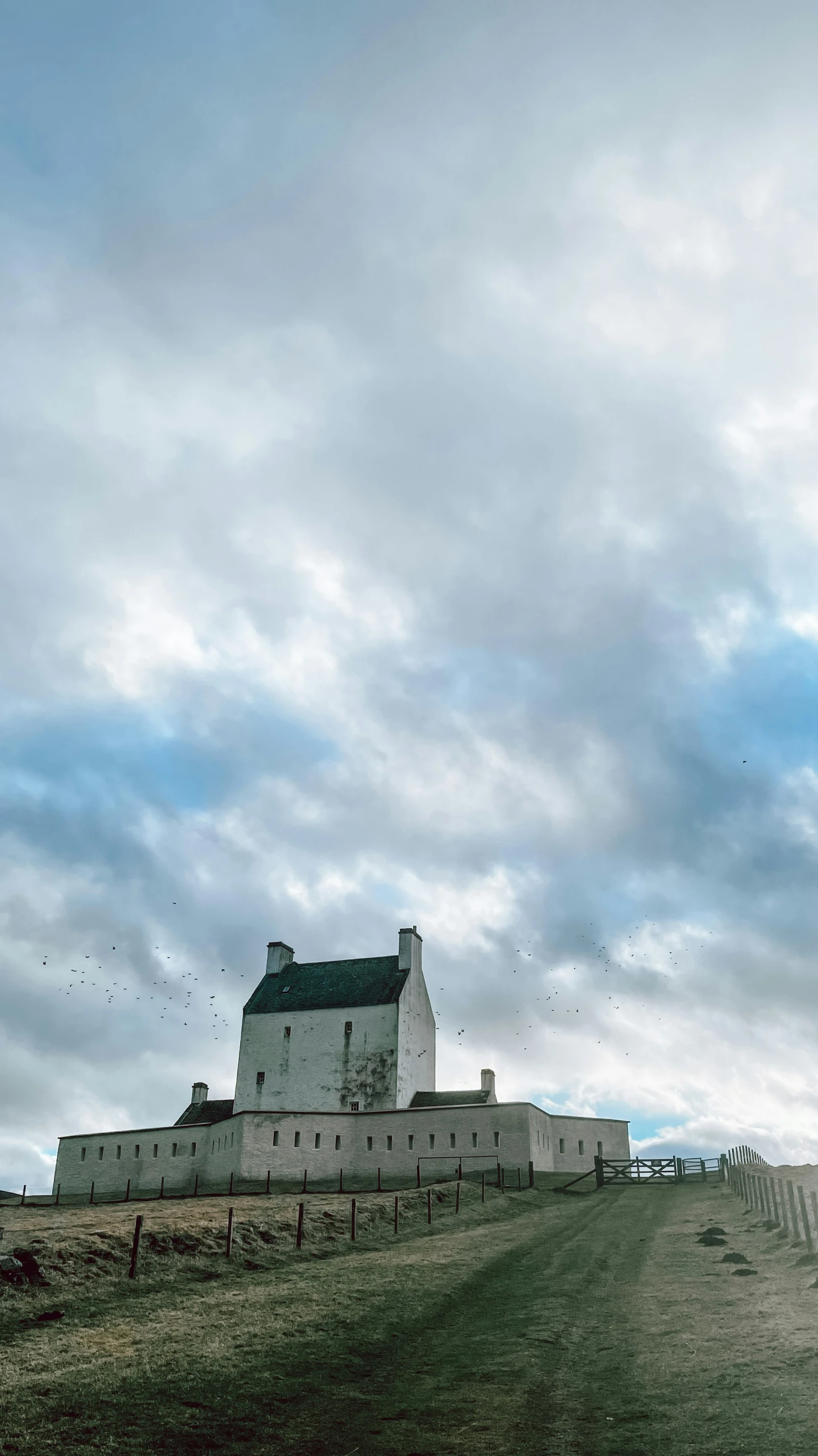 some birds flying around a very large building