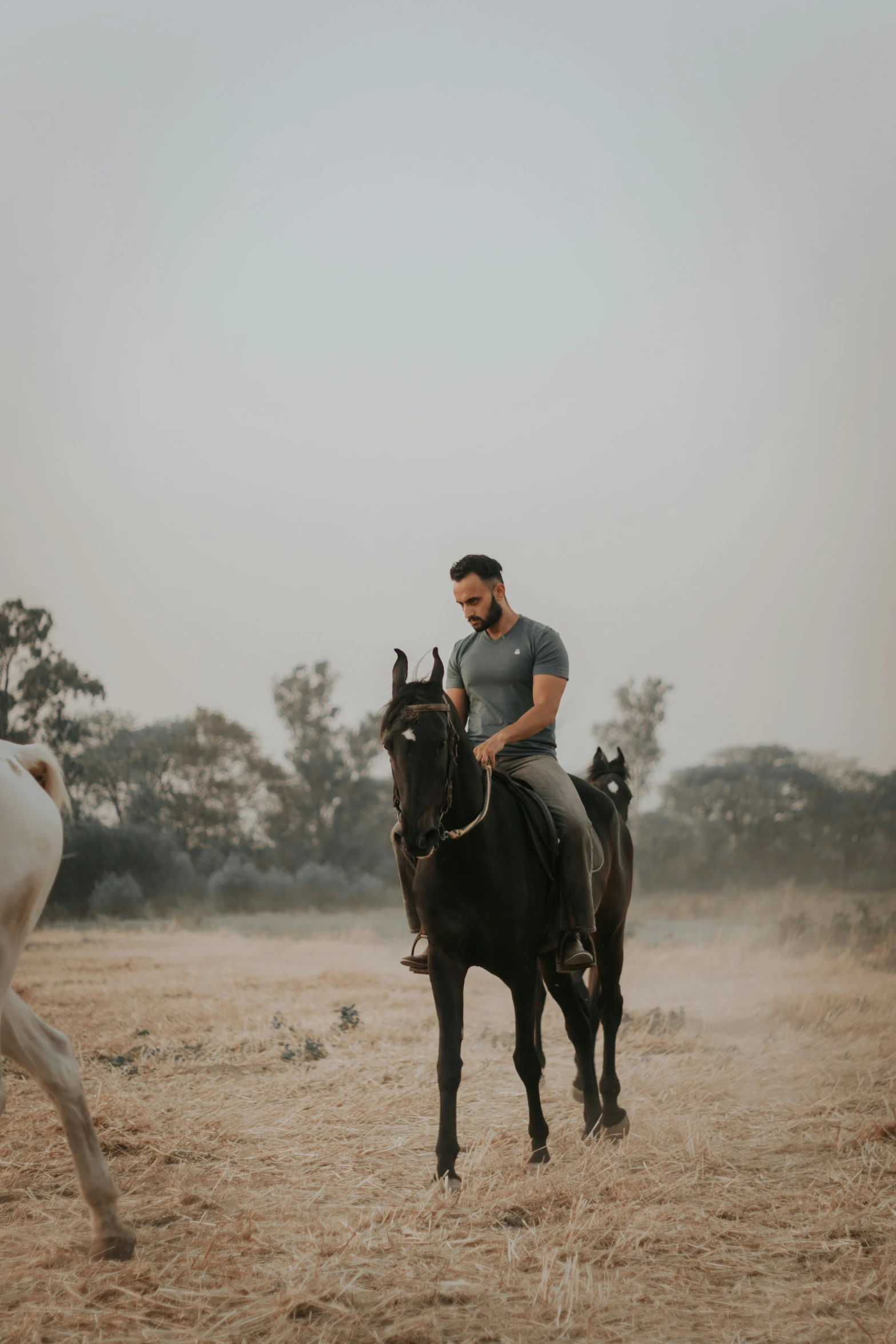 there is a man riding a horse in the field