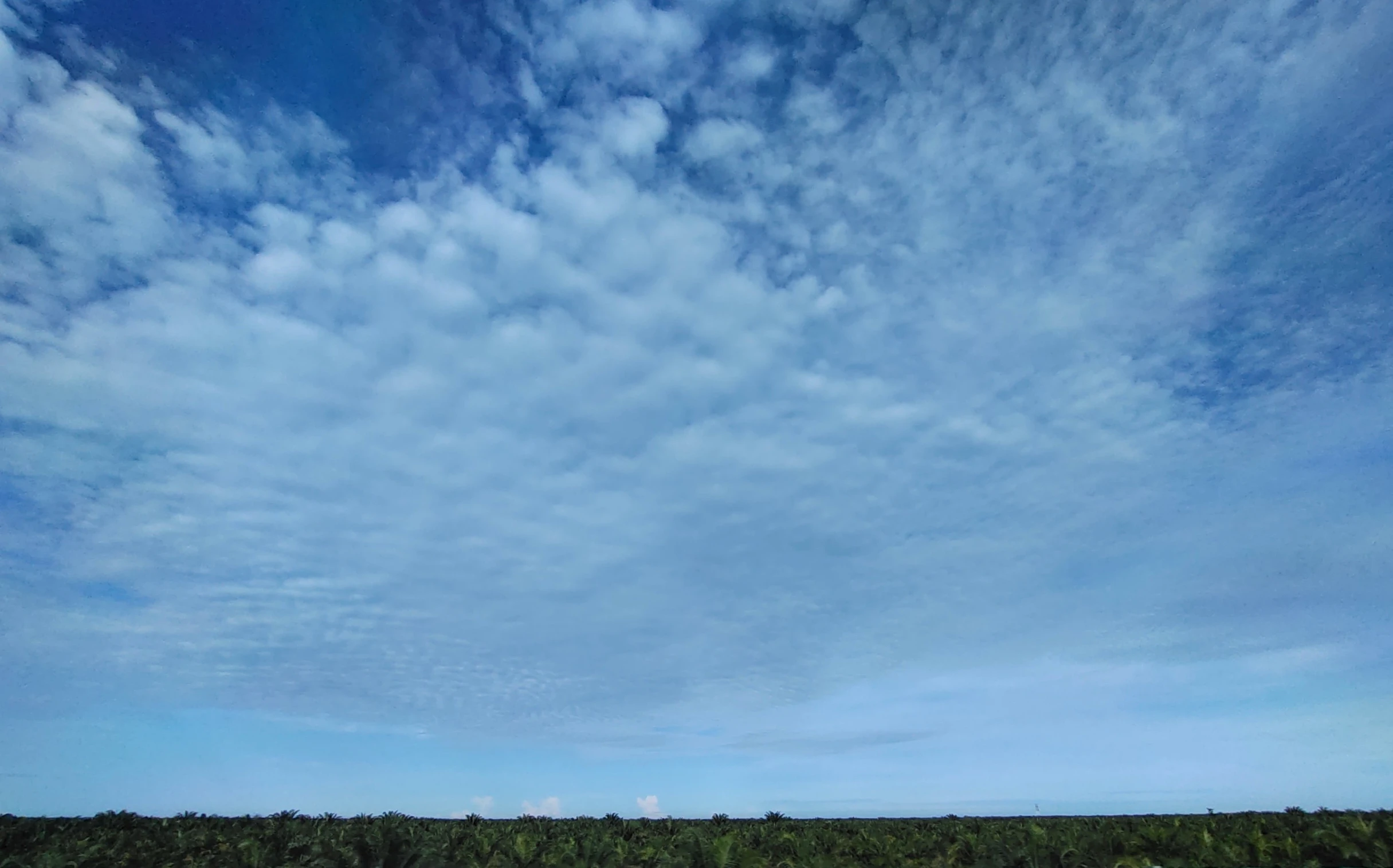 a grassy field with green trees underneath a blue sky