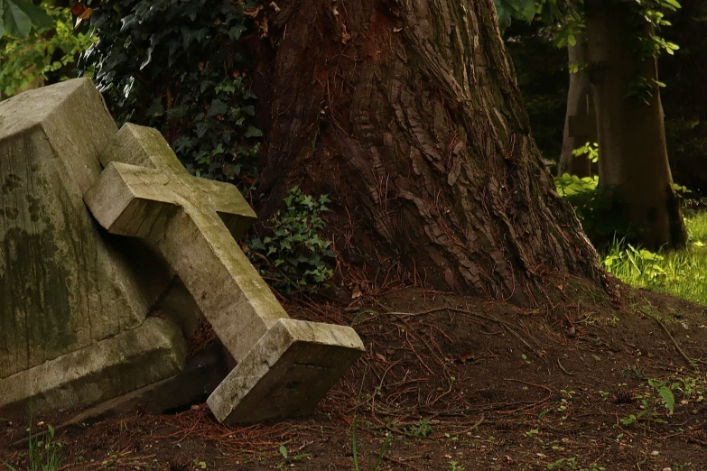 an old, stone bench is placed in front of a large tree