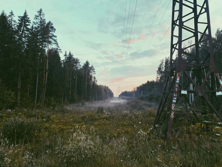 an electric pole on a dirt road surrounded by trees