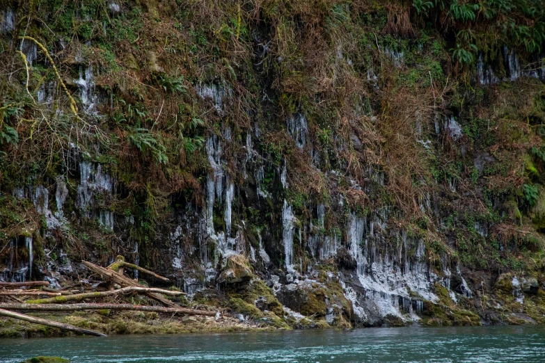 the bear is sitting on the side of the cliff