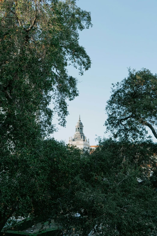 a view from below of a building surrounded by trees