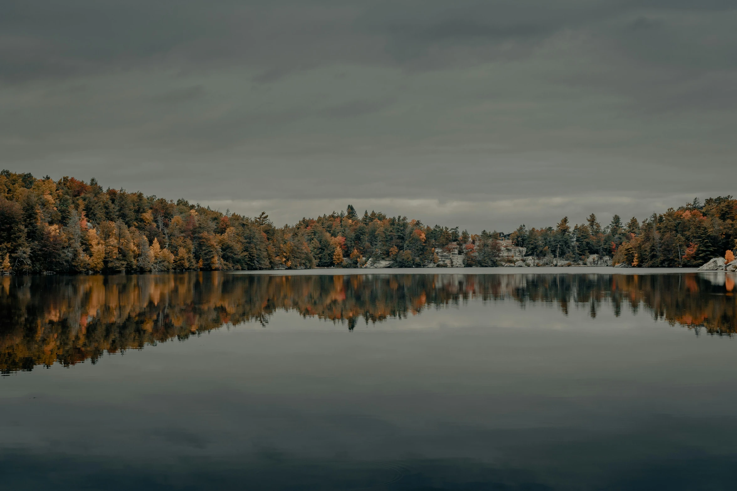 a scenic s of a lake surrounded by trees with fall leaves