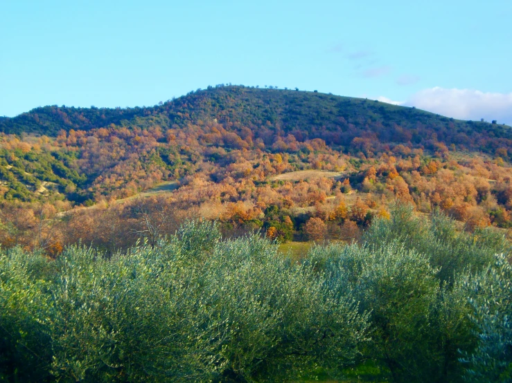 an image of a mountain that is in the distance