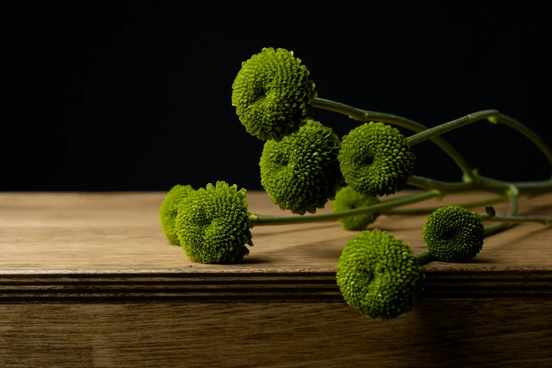 green broccoli sprouts are on a table