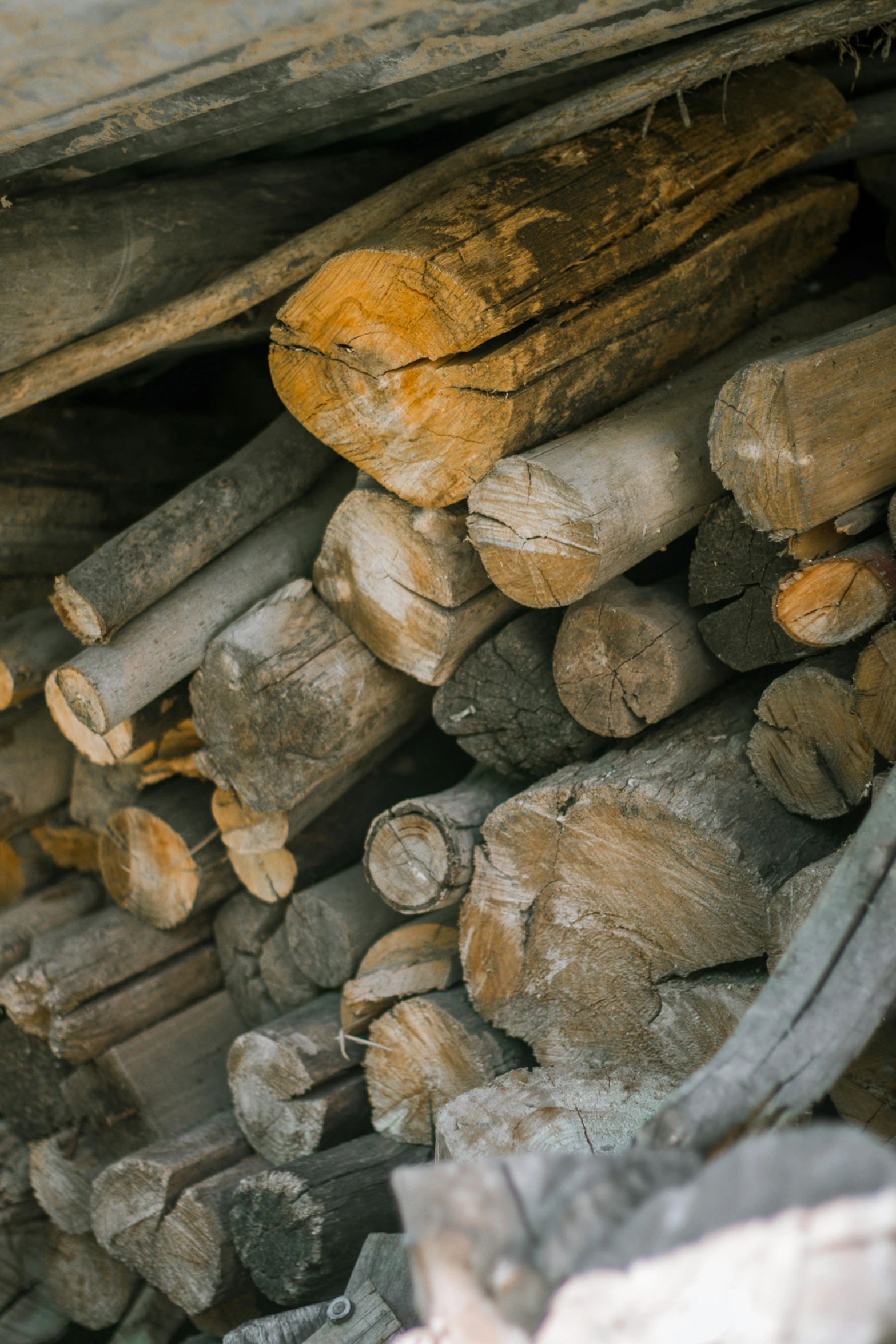 logs are stacked in a pile inside of a house