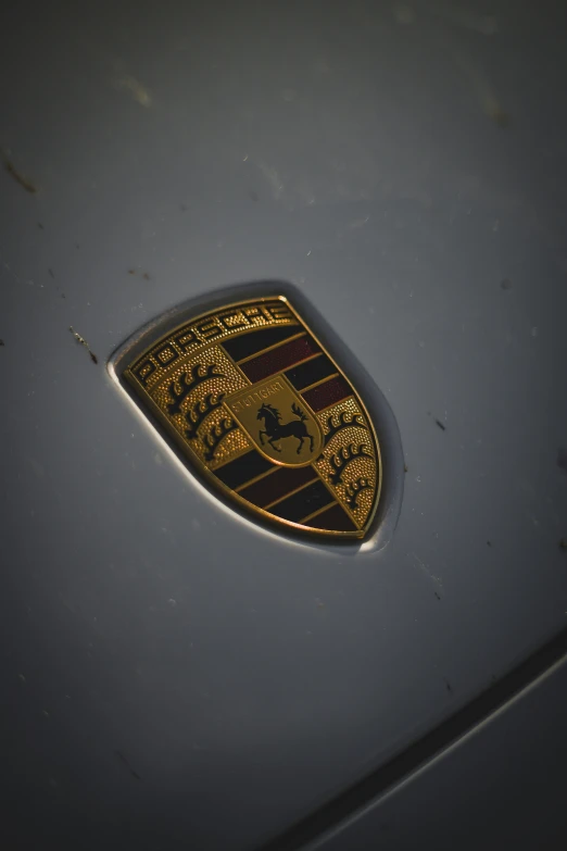 a shiny metallic badge sitting on the hood of a silver sports car