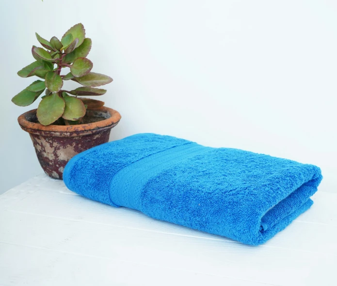 a towel next to a potted plant