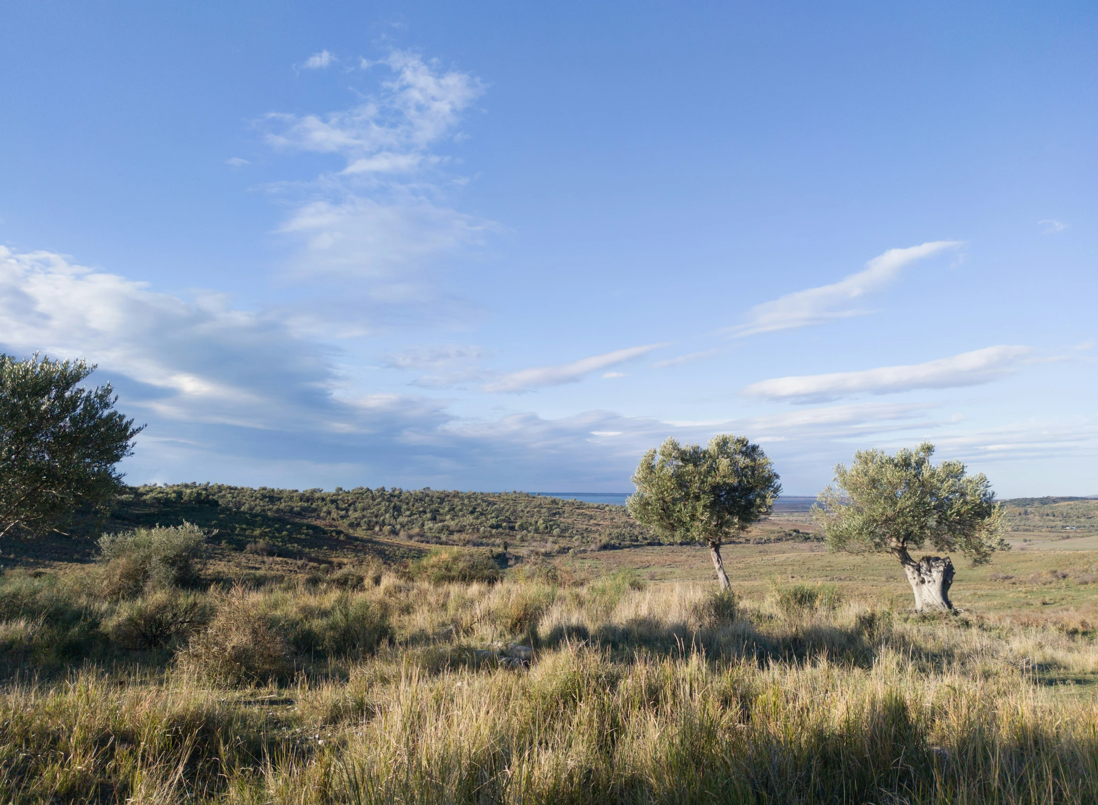 the landscape is empty and very deserted under blue skies