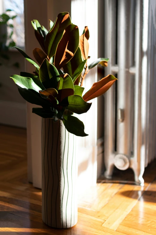 there is a plant in the vase on the floor