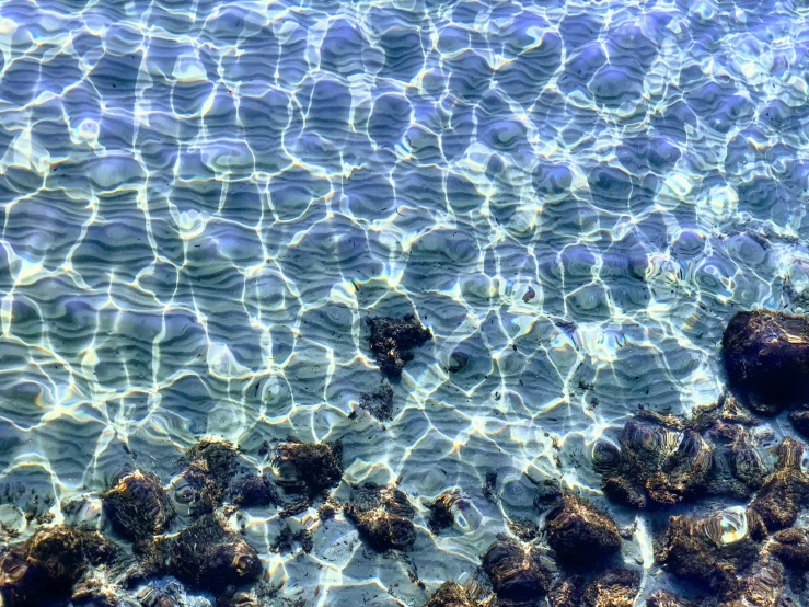 small rocks under water in an ocean