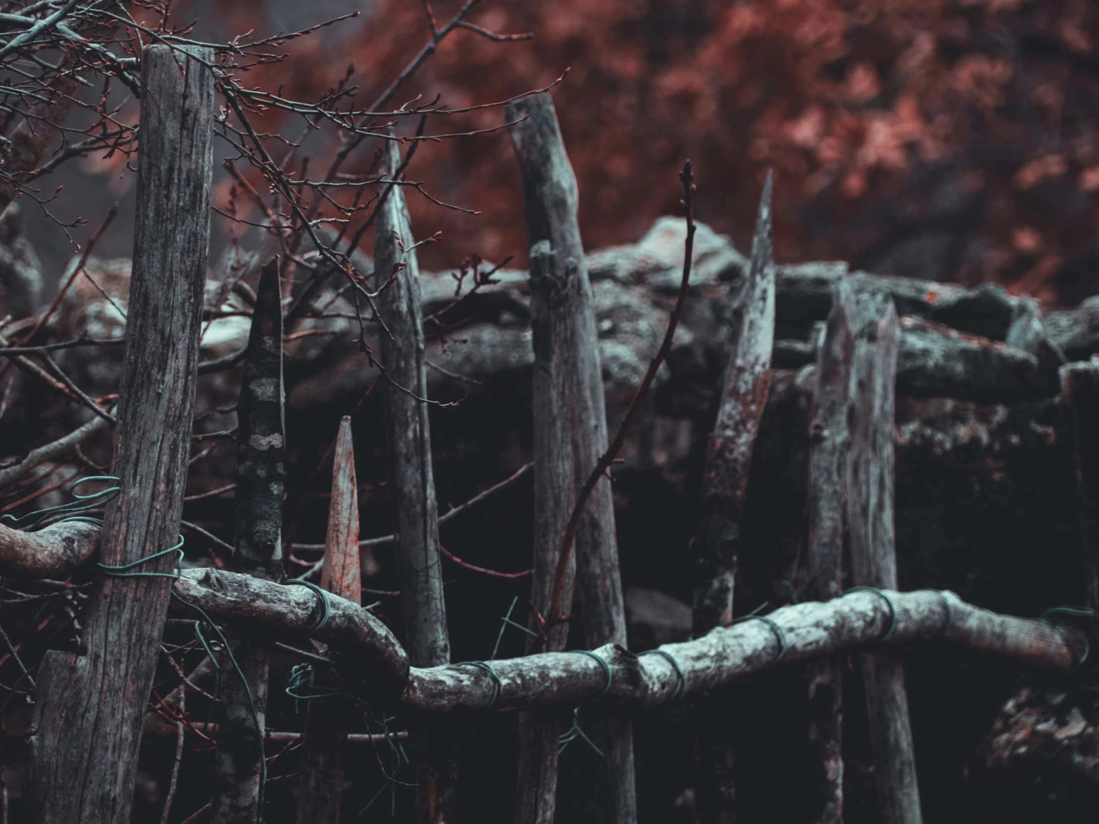 a pile of dead trees sitting on top of a forest