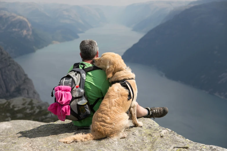 man with backpack sitting on ledge next to golden retriever dog