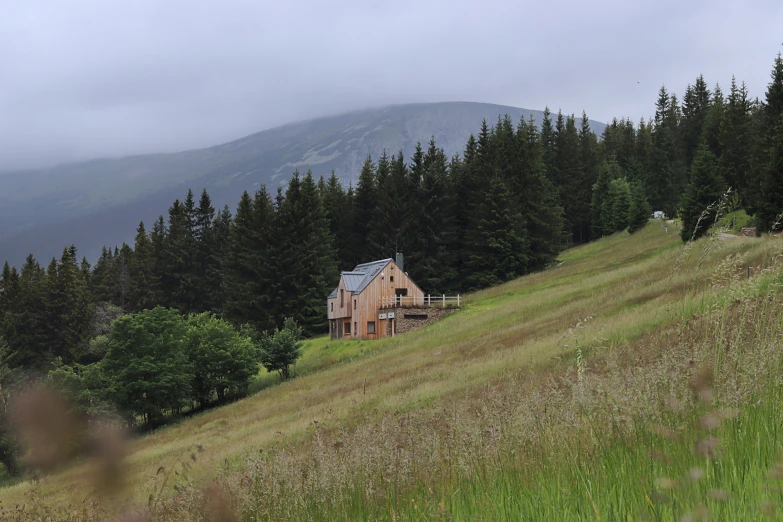 a cabin on the hill is surrounded by pine trees