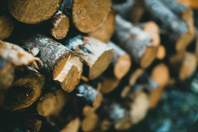 logs stacked on each other to be used for wood burning