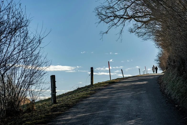 people hiking along a road near the woods