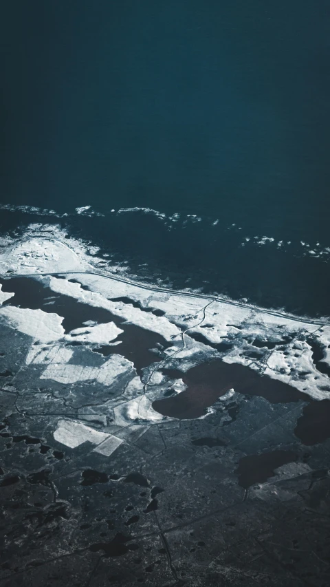 a large body of water surrounded by a forest