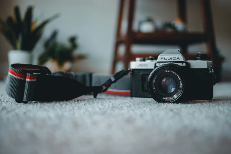 an old camera sits on a carpet near a plant