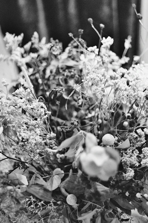 small wildflowers and other greenery growing among the foliage