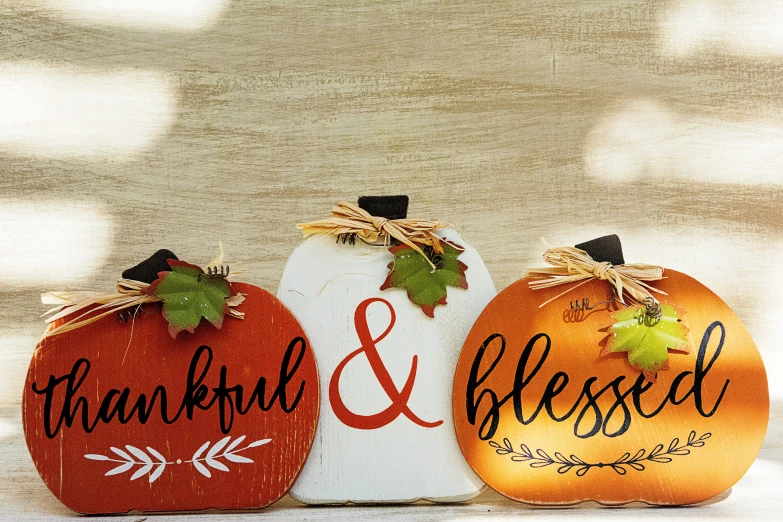 two pumpkins decorated to say thank and be blessed