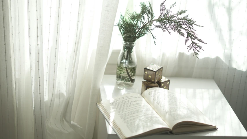 a book is open next to a vase with a plant