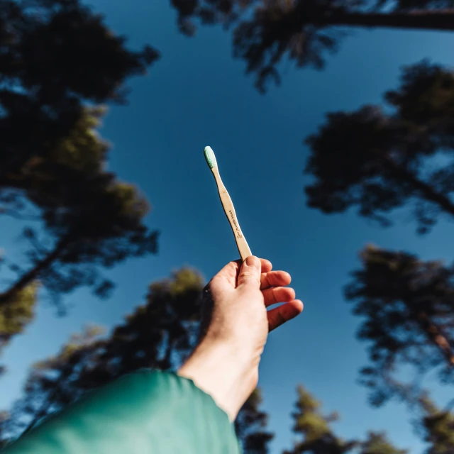 someone is holding out their toothbrush in front of trees