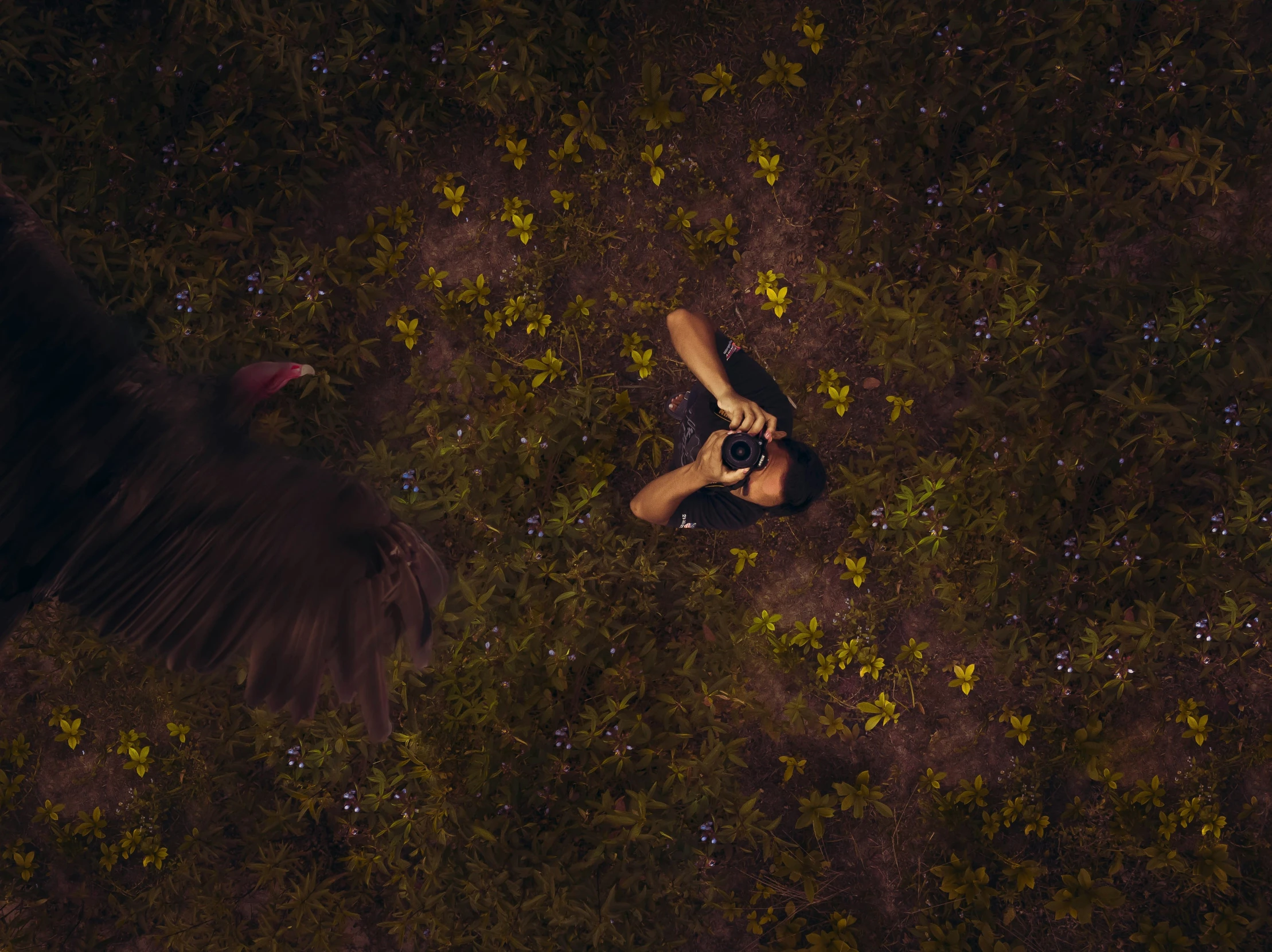 a person laying on the grass with their feet up and a bird flying overhead