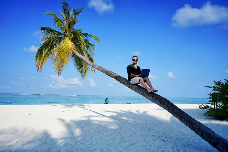 a man sits on a palm tree while on his laptop