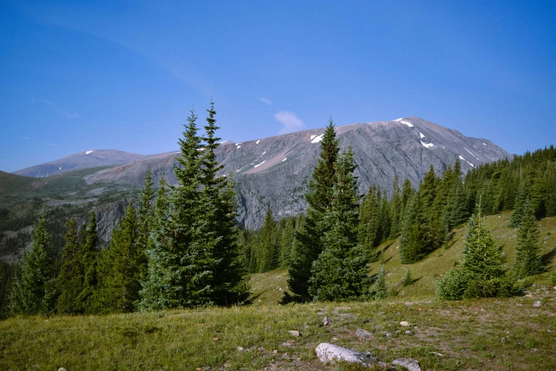 the mountains are covered with snow and pine trees