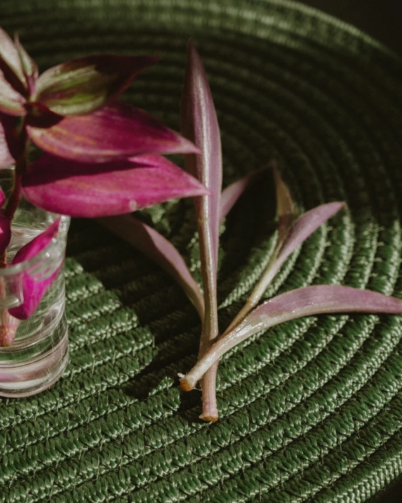 a small glass vase filled with water and flowers