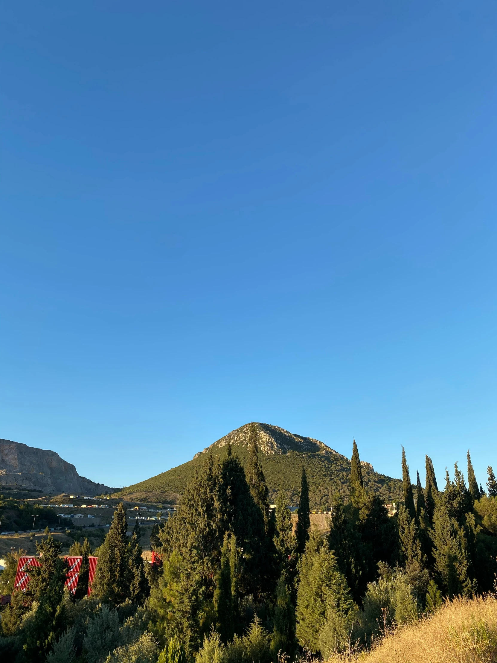 a hill in the distance with trees and grass