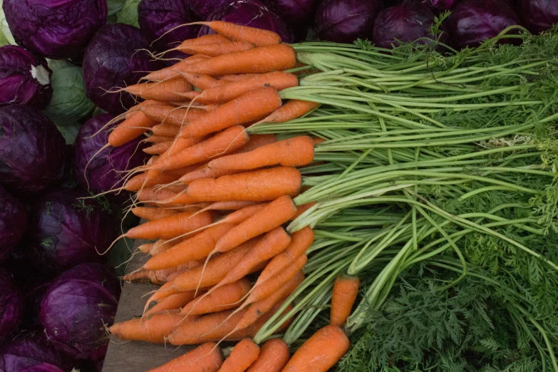 a variety of carrots on display at the market