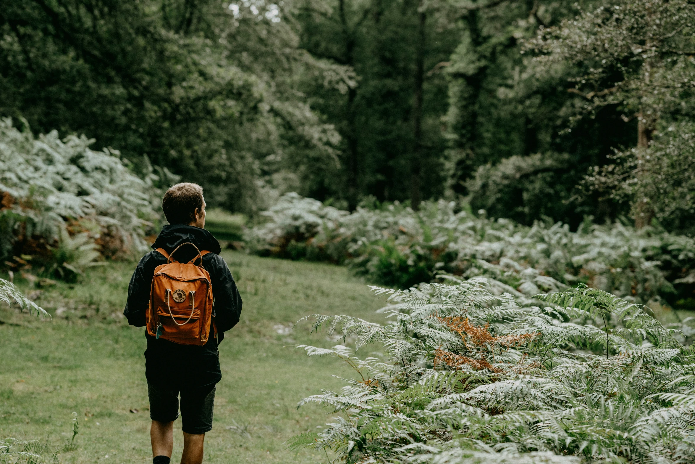 a man with a backpack walking in the middle of a jungle