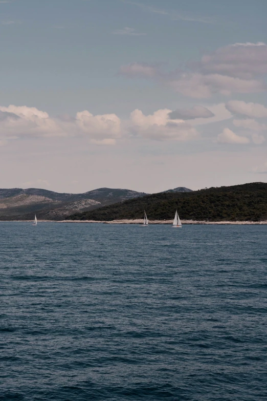 three sailboats are floating on the water near land