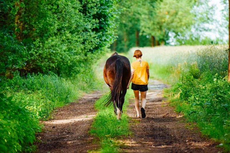 a person walks a horse down a path