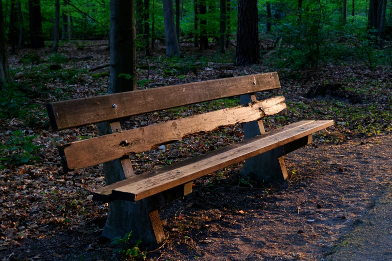 an empty park bench sitting on the side of a road in front of some trees